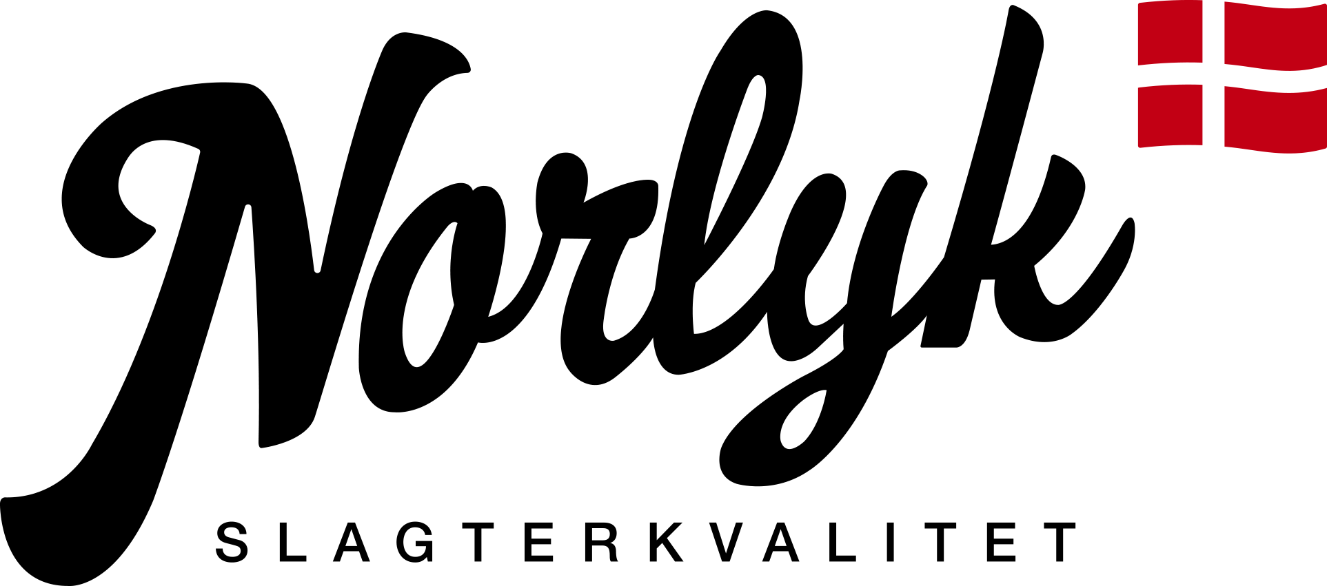 Norlyk-logo-pos-rgb